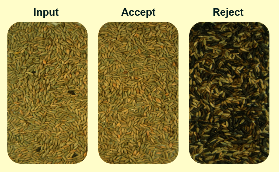 Ergot